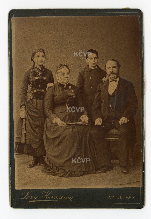 Portret obitelj trgovca Mihelića