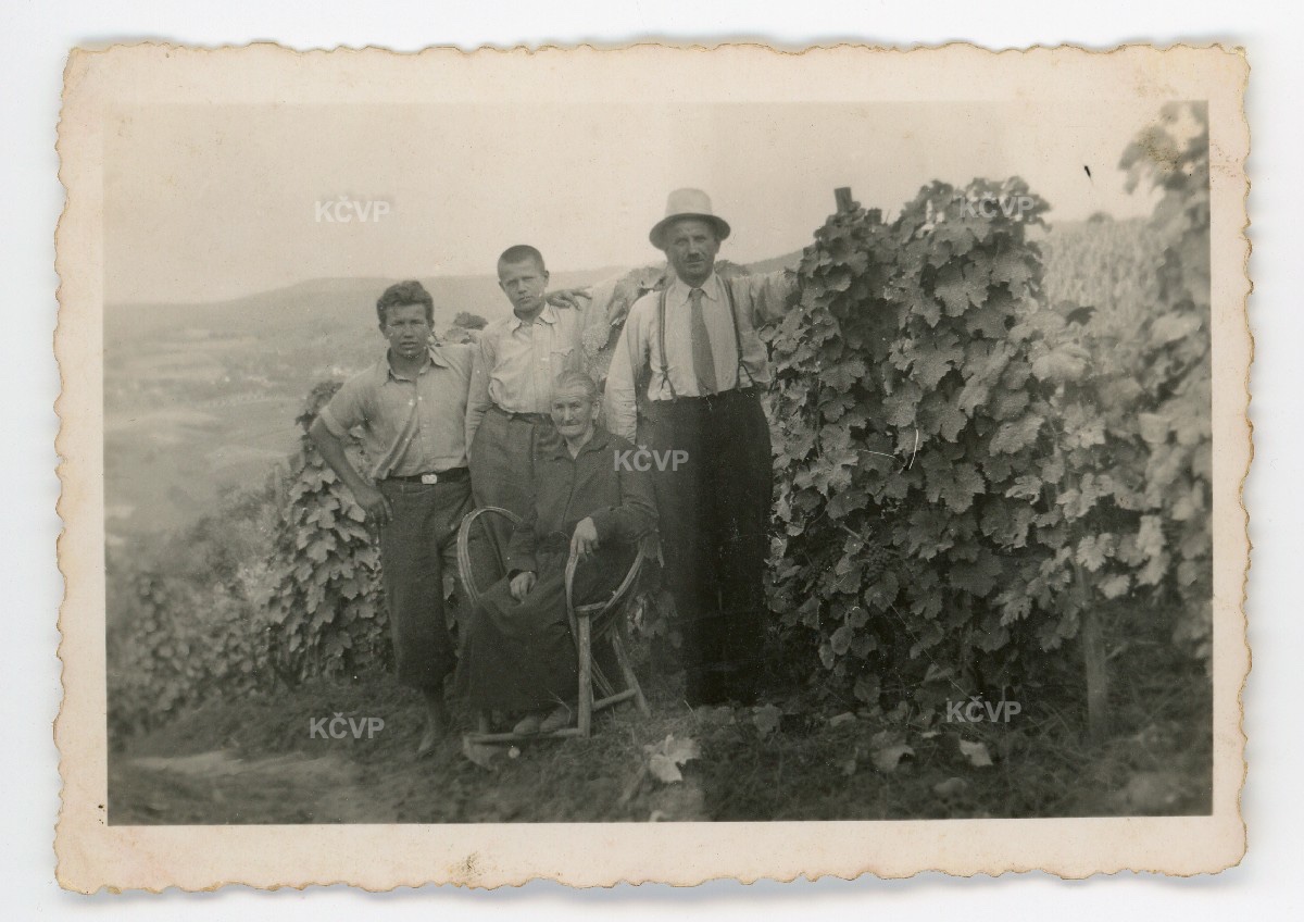 Tri generacije Martinčića u obiteljskom vinogradu