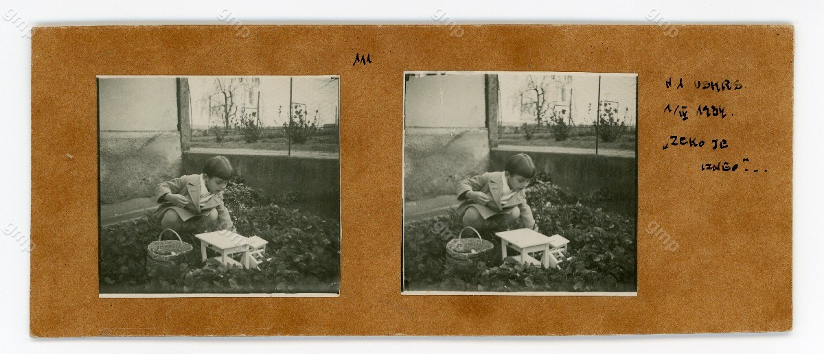 GMP_DIG_8_114